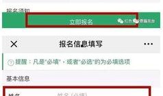 免费吃瓜的公众号,带你领略网络世界的趣味盛宴